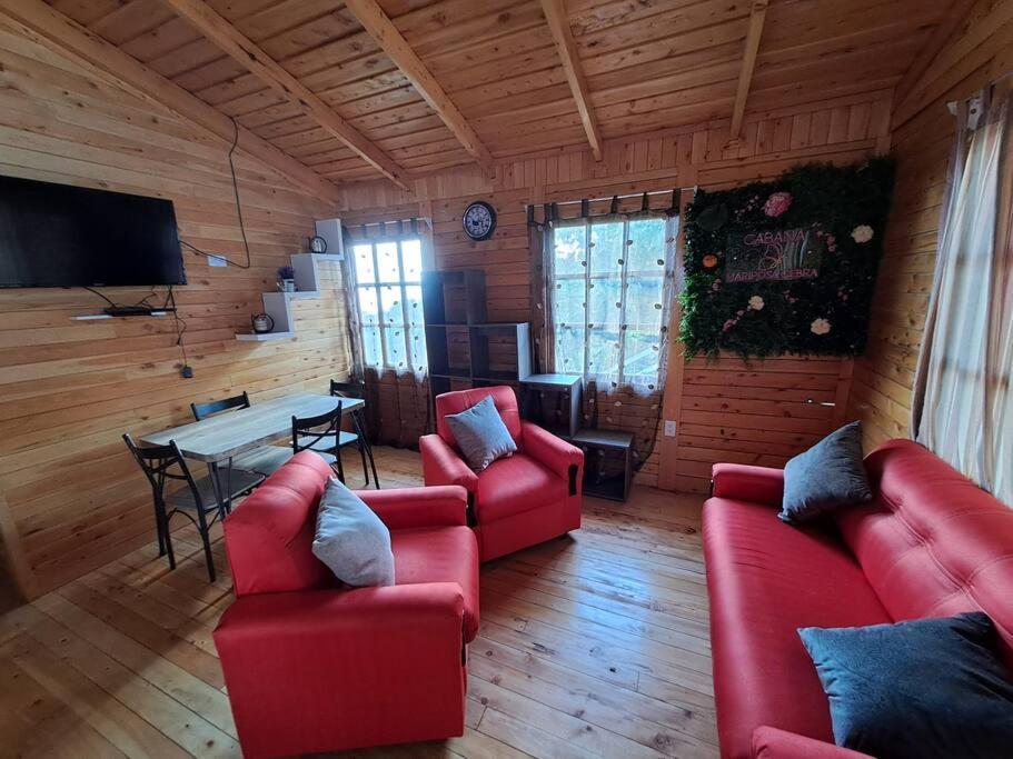 Chalet Cebra - The Spot For Great Sunset Views! *