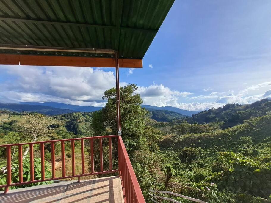Cebra - The Spot For Great Sunset Views! * Jardin