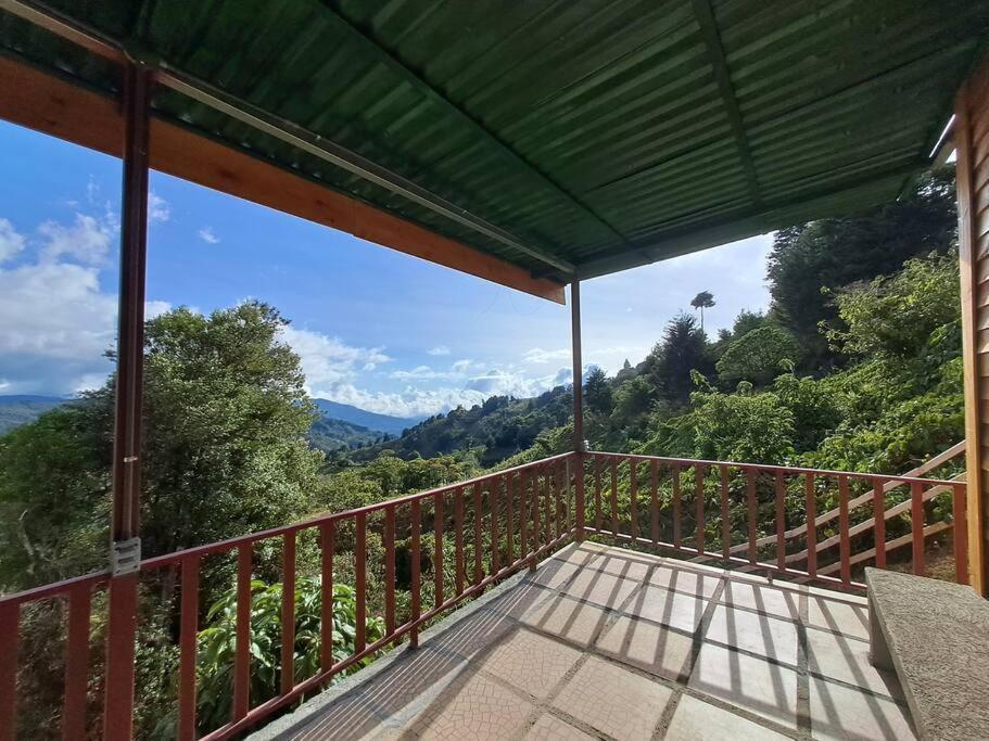 Cebra - The Spot For Great Sunset Views! *
